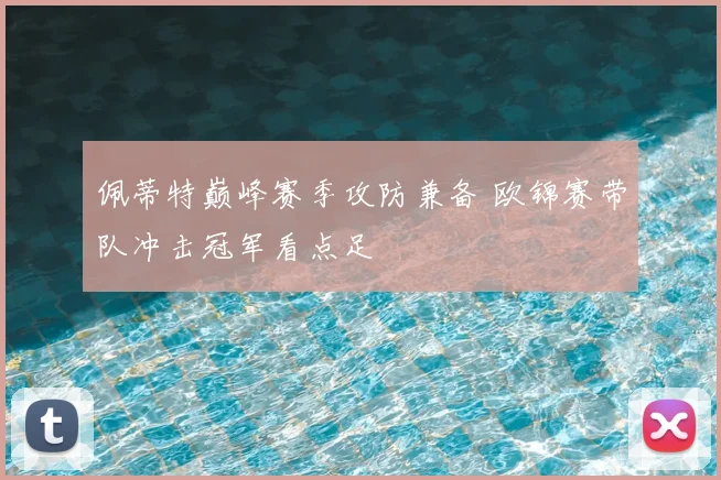 佩蒂特巅峰赛季攻防兼备 欧锦赛带队冲击冠军看点足