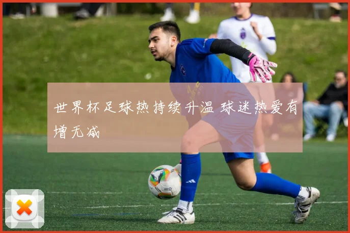 世界杯足球热持续升温 球迷热爱有增无减