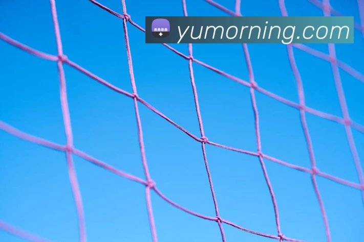 安博站官网入口服务体系